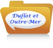 Loi Duflot et Outre-Mer Loi Duflot et Outre-Mer