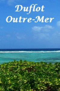 Loi Duflot Outre-Mer